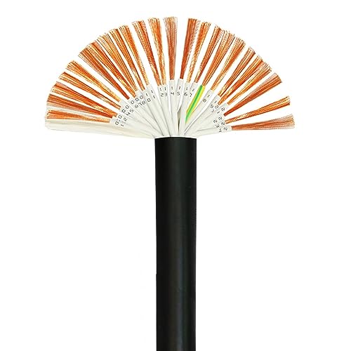 Mehradriges geschirmtes Kabel ， Doppelschichtiges, abgeschirmtes Kabelpaket mit mehreren Adern, 18–26 AWG, 2–24, reines Kupfer, PVC-Ummantelung(24cores,22AWG 0.3mm 5meter) von CTRSM