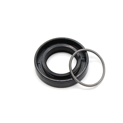 Öldichtung Wellendichtung, 1 STÜCKE NBR Wellenskelett-Öldichtung, TC Nitrilkautschuk-Ringdichtung, Doppellippendichtung for Pumpen, Wasserleitungen, Ölfässer, Dichtungslippe(13X20X4) von CTRSM