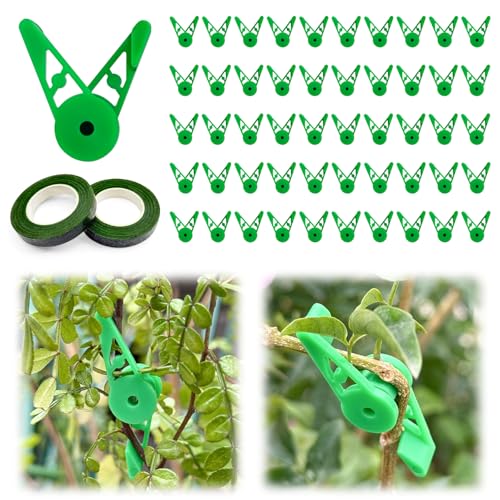 CTYUEYUN 50 Stück Pflanzenbieger Lst Clips mit 2 Florale Bänder,360° Verstellbarer Pflanzenbieger Clips,Wiederverwendbar Pflanzen Clips Low Stress Training Clips für Garten Topfpflanzen Gemüse Blumen von CTYUEYUN