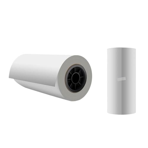 CUAWBAPF 30 cm x 100 m PET DTF Film Roll Einseitigen Transferfilm 75U Dicke kompatibel mit L1800 I3200 4720 1390 Printhead(Single Side Matte) von CUAWBAPF