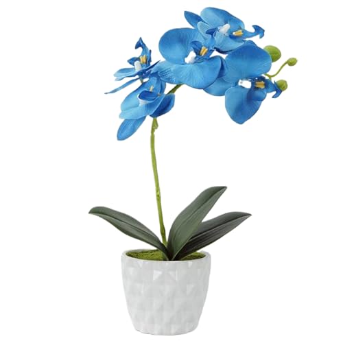 CUCUFA Blue Orchidee, Blaue Orchidee Künstliche Blumen in weißem Topf 11, 4x7, 1 Zoll, künstlich mit Keramiktopf, Bonsai für Zuhause von CUCUFA