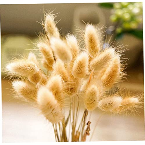 Bunny Tails Gras natürlicher getrockneter Pampas Bouquet Blumenarrangements für Hochzeit 30pcs von CUCUFA