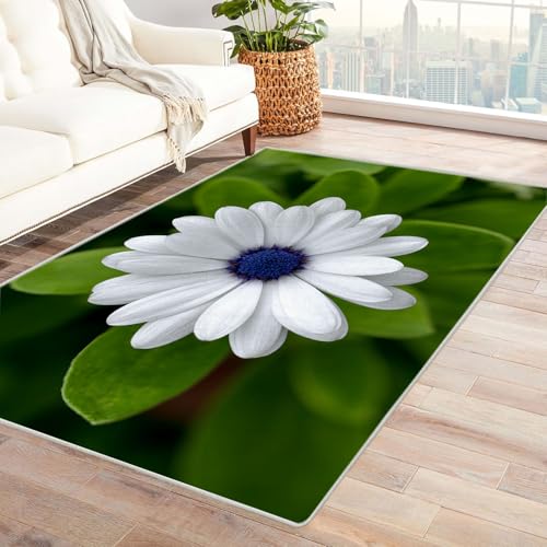 CUDAOO Bedruckter Innen-/Außenteppich Blaue Augen Teppich Wohnzimmer Schlafzimmer(Weiß)-150x180cm von CUDAOO