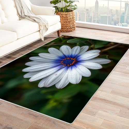 CUDAOO Bedruckter Innen-/Außenteppich Blaue Chrysanthemum Für Wohnzimmer, Sofa, Tisch, Flur, Fußmatte,Schlafzimmer(Blau)-60x90cm von CUDAOO