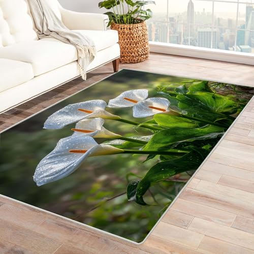 CUDAOO Bedruckter Innen-/Außenteppich Calla Lilie Tepich Moderne Wohnzimmer Vintage Schlafzimmer(Weiß)-90x120cm von CUDAOO