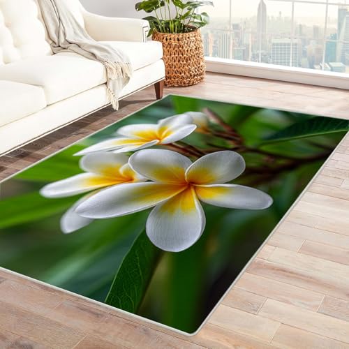 CUDAOO Bedruckter Innen-/Außenteppich Eier Blumen Teppich Wohnzimmer Schlafzimmer(Weiß)-210x300cm von CUDAOO