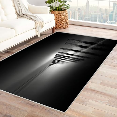 CUDAOO Bedruckter Innen-/Außenteppich Entfernte Strandpfosten Für Wohnzimmer, Sofa, Tisch, Flur, Fußmatte,Schlafzimmer(Schwarz und Weiß)-210x300cm von CUDAOO