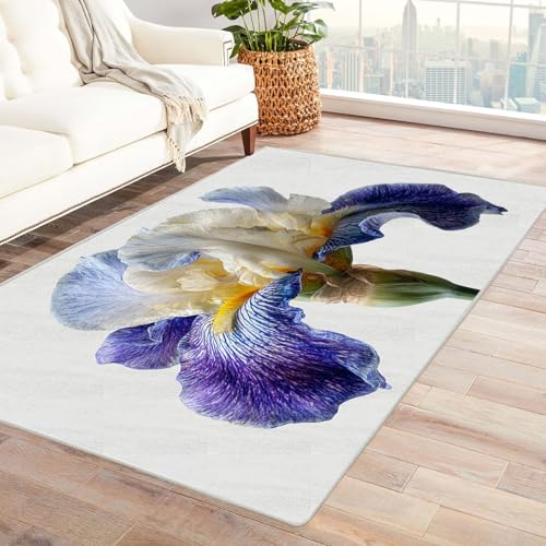 CUDAOO Bedruckter Innen-/Außenteppich Farbiger Schwanz Teppich Wohnzimmer Schlafzimmer(Violett)-60x90cm von CUDAOO