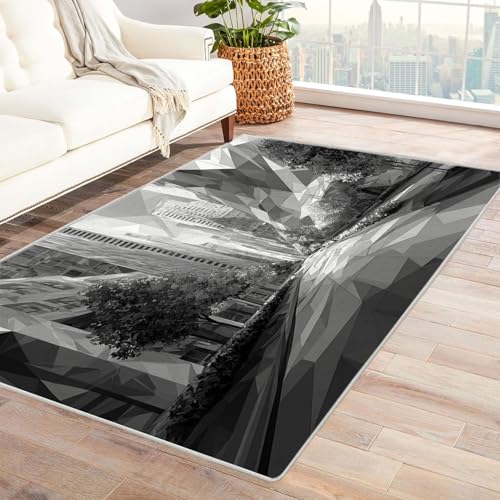 CUDAOO Bedruckter Innen-/Außenteppich Geometrie Stadt Für Wohnzimmer, Sofa, Tisch, Flur, Fußmatte,Schlafzimmer(Grau)-240x300cm von CUDAOO