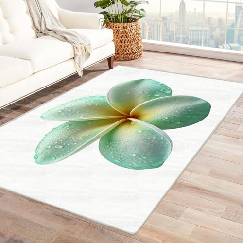 CUDAOO Bedruckter Innen-/Außenteppich Grüne Eier Blumen Teppich Wohnzimmer Schlafzimmer(Minzgrün)-150x210cm von CUDAOO