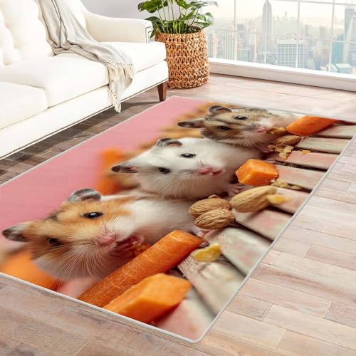 CUDAOO Bedruckter Innen-/Außenteppich Hamsterfreude Teppich Wohnzimmer Schlafzimmer(Rosa)-90x150cm von CUDAOO