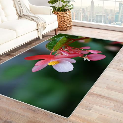 CUDAOO Bedruckter Innen-/Außenteppich Herbstsee Für Wohnzimmer, Sofa, Tisch, Flur, Fußmatte,Schlafzimmer(Rosa)-210x270cm von CUDAOO