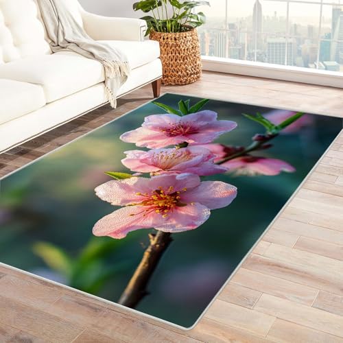 CUDAOO Bedruckter Innen-/Außenteppich Mit Pfirsich Für Wohnzimmer, Sofa, Tisch, Flur, Fußmatte,Schlafzimmer(Rosa)-210x270cm von CUDAOO