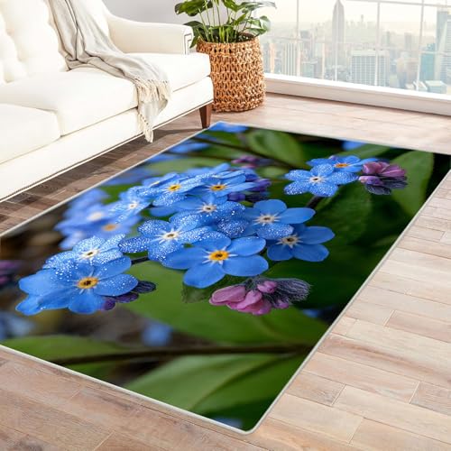CUDAOO Bedruckter Innen-/Außenteppich Nicht vergessen Für Wohnzimmer, Sofa, Tisch, Flur, Fußmatte,Schlafzimmer(Blau)-150x180cm von CUDAOO