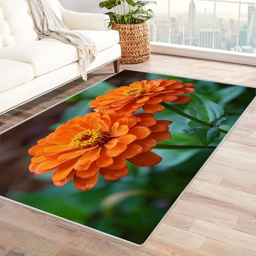 CUDAOO Bedruckter Innen-/Außenteppich Orange Hundert Tage Teppich Wohnzimmer Schlafzimmer(Rot)-150x210cm von CUDAOO