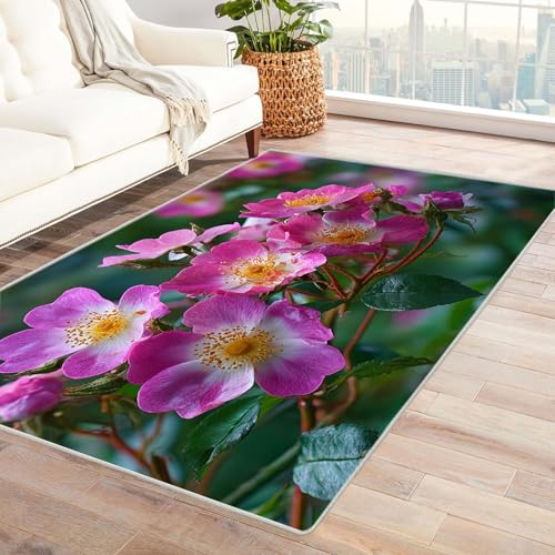 CUDAOO Bedruckter Innen-/Außenteppich Pink Rose Teppich Wohnzimmer Schlafzimmer(Rosa)-240x300cm von CUDAOO