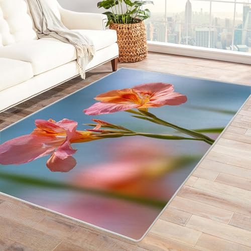 CUDAOO Bedruckter Innen-/Außenteppich Pulverisierte Bananen Für Wohnzimmer, Sofa, Tisch, Flur, Fußmatte,Schlafzimmer(Rosa)-180x240cm von CUDAOO
