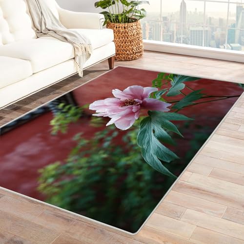 CUDAOO Bedruckter Innen-/Außenteppich Rote Mauer Tepich Moderne Wohnzimmer Vintage Schlafzimmer(Rot)-90x150cm von CUDAOO