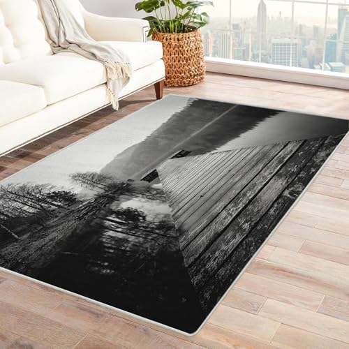 CUDAOO Bedruckter Innen-/Außenteppich Ruhiges Seedeck Für Wohnzimmer, Sofa, Tisch, Flur, Fußmatte,Schlafzimmer(Schwarz und Weiß)-90x150cm von CUDAOO
