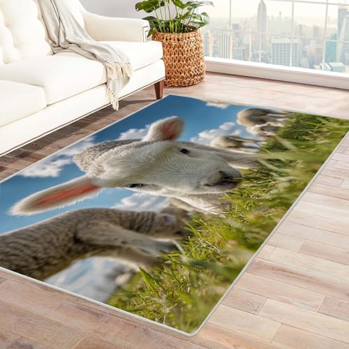 CUDAOO Bedruckter Innen-/Außenteppich Schaf auf Gras Teppich Wohnzimmer Schlafzimmer(Blau)-240x300cm von CUDAOO