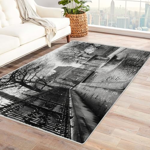 CUDAOO Bedruckter Innen-/Außenteppich Stiller Garten im Frühling Tepich Moderne Wohnzimmer Vintage Schlafzimmer(Schwarz und Weiß)-90x150cm von CUDAOO