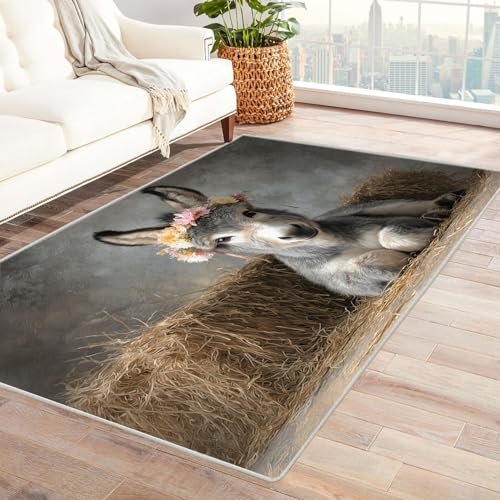 CUDAOO Bedruckter Innen-/Außenteppich Süßer Blumenesel Tepich Moderne Wohnzimmer Vintage Schlafzimmer(Grau)-90x150cm von CUDAOO