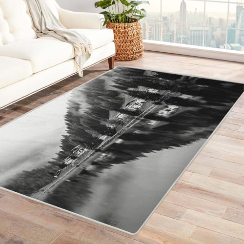 CUDAOO Bedruckter Innen-/Außenteppich Versteckter See Teppich Wohnzimmer Schlafzimmer(Schwarz und Weiß)-150x180cm von CUDAOO