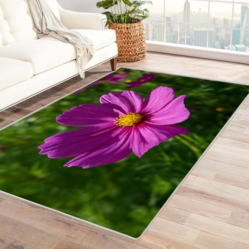 CUDAOO Bedruckter Innen-/Außenteppich Violett Herbst Teppich Wohnzimmer Schlafzimmer(Violett)-150x180cm von CUDAOO