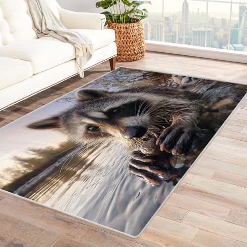 CUDAOO Bedruckter Innen-/Außenteppich Waschbär spielt Für Wohnzimmer, Sofa, Tisch, Flur, Fußmatte,Schlafzimmer(Grau)-90x120cm von CUDAOO