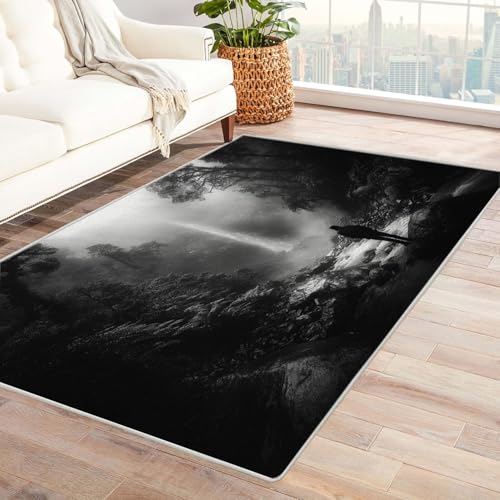 CUDAOO Bedruckter Innen-/Außenteppich Wasserfälle beobachten Teppich Wohnzimmer Schlafzimmer(Schwarz und Weiß)-90x150cm von CUDAOO