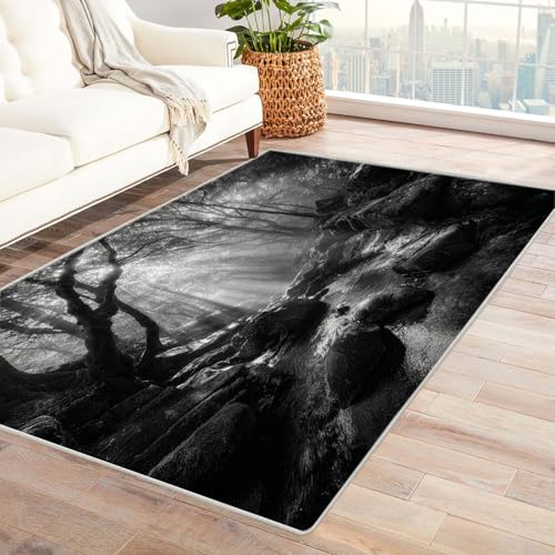 CUDAOO Bedruckter Innen-/Außenteppich Wasserfall im Waldlicht Teppich Wohnzimmer Schlafzimmer(Schwarz und Weiß)-120x180cm von CUDAOO