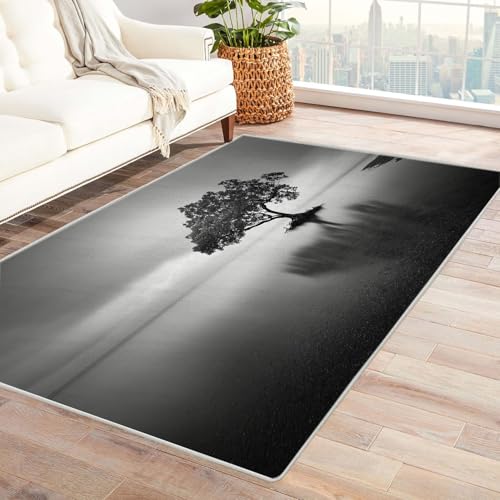 CUDAOO Bedruckter Innen-/Außenteppich Wassermitte Teppich Wohnzimmer Schlafzimmer(Schwarz und Weiß)-240x300cm von CUDAOO