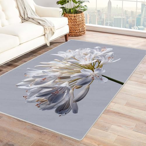 CUDAOO Bedruckter Innen-/Außenteppich Weiße Hundert Für Wohnzimmer, Sofa, Tisch, Flur, Fußmatte,Schlafzimmer(Rot)-210x270cm von CUDAOO