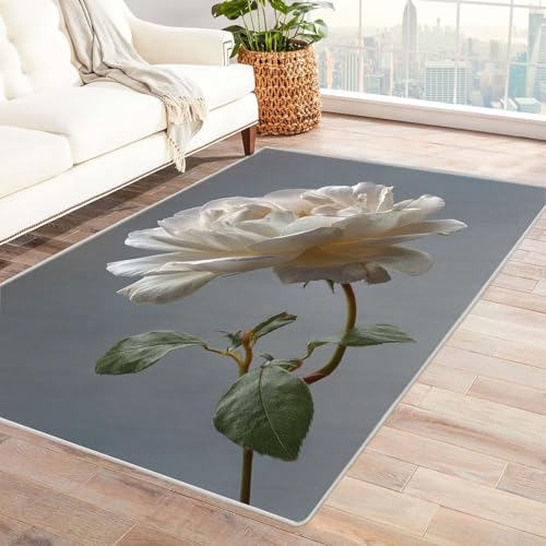 CUDAOO Bedruckter Innen-/Außenteppich Weiße Monatsaison Tepich Moderne Wohnzimmer Vintage Schlafzimmer(Weiß)-120x180cm von CUDAOO