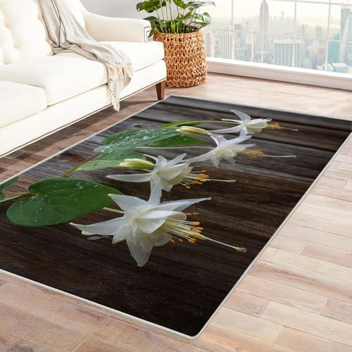 CUDAOO Bedruckter Innen-/Außenteppich Weißer Kampf Teppich Wohnzimmer Schlafzimmer(Beige)-90x120cm von CUDAOO