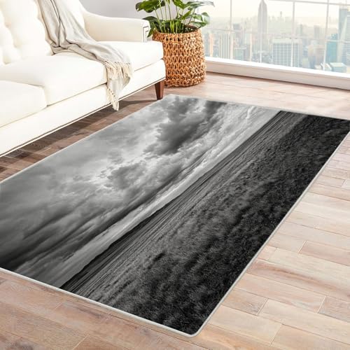 CUDAOO Bedruckter Innen-/Außenteppich Wolken über Ebenen Für Wohnzimmer, Sofa, Tisch, Flur, Fußmatte,Schlafzimmer(Schwarz und Weiß)-120x150cm von CUDAOO