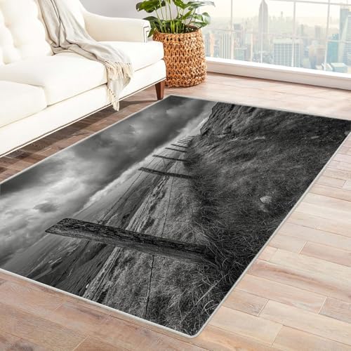 CUDAOO Bedruckter Innen-/Außenteppich Zaun auf Hügeln Tepich Moderne Wohnzimmer Vintage Schlafzimmer(Schwarz und Weiß)-180x270cm von CUDAOO