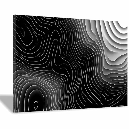 CUDAOO Deko Canvas Painting Abstrakt Kunst Leinwand ästhetisch dekoratives Gemälde Schwarz-weißes Muster Wohnzimmer Wohnung Deko Kunstdrucke(schwarz121)-20x30cm Gerahmt von CUDAOO