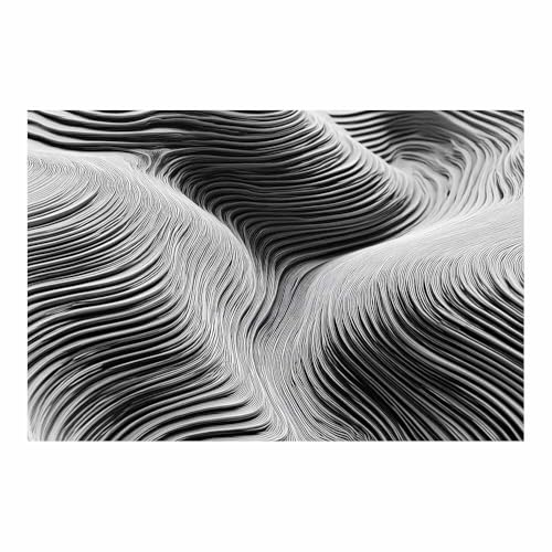 CUDAOO Deko Canvas Painting Abstrakt Kunst Leinwand ästhetisch dekoratives Gemälde Schwarze Wellen Wohnzimmer Wohnung Deko Kunstdrucke(Schwarz Weiß13)-20x30cm Ungerahmt von CUDAOO