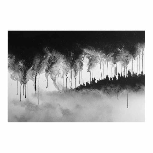 CUDAOO Deko Canvas Painting Abstrakt Kunst Leinwand ästhetisch dekoratives Gemälde Tuschewälder Wohnzimmer Wohnung Deko Kunstdrucke(Schwarz Weiß88)-40x60cm Ungerahmt von CUDAOO