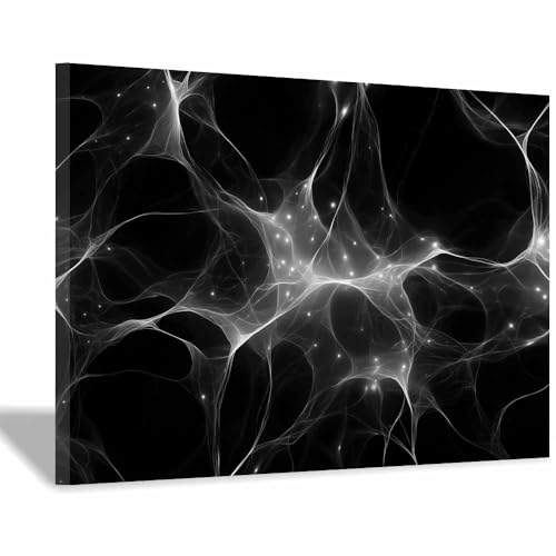 CUDAOO Leinwandbilder Moderne Kunst Abstrakte Wanddeko Kunstdrucke Neuronale Netzwerke für Schlafzimmer Home Wohnung Bild Wohnzimmer(Schwarz Weiß08)-70x100cm Gerahmt von CUDAOO