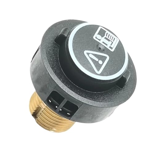 CUDVOLHTU 2/1 STÜCKE Messing-Sicherheitsventil Mit Schwarzem O-Ring, Kompatibel Mit Karcher SC4 SC5 Staubsauger Und Dampfreiniger, Haushaltsgeräte-Teil(1PACK) von CUDVOLHTU