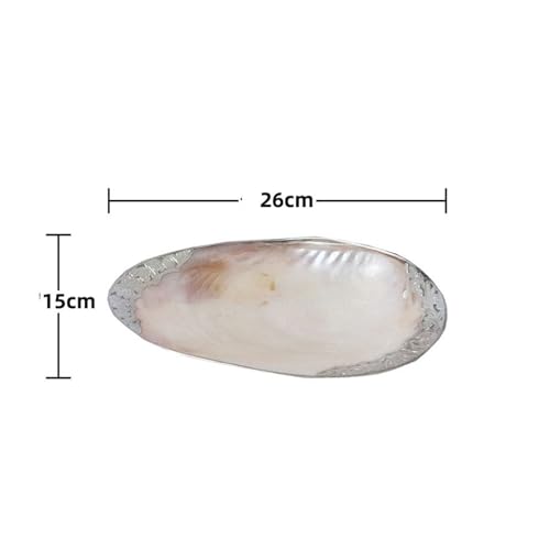CUDVOLHTU Rolltablett aus natürlicher Muschel, 280 x 160 mm, Aufbewahrungszubehör(Silver Edge) von CUDVOLHTU