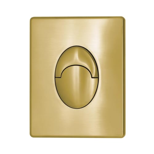 Kompatibel mit GROHE/GROHE verstecktem Wassertank, pneumatischer Spülplatte mit Doppelknopf(Ruskin) von CUDVOLHTU