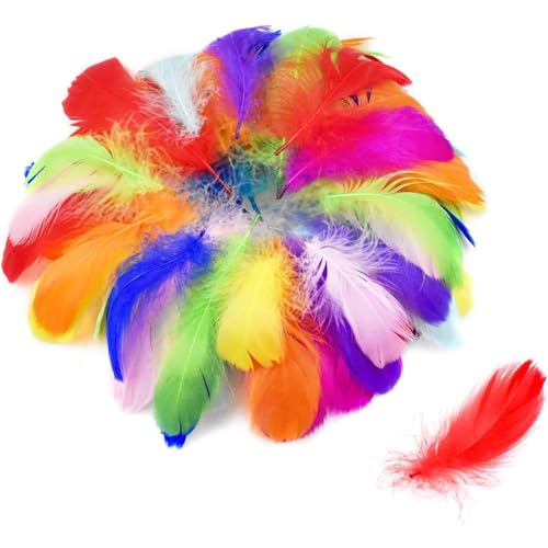 CUEMOON 100 Stück Federn zum Basteln, Natur Bunte Federn,Feder Deko Bastelfedern für DIY Handwerk Traumfänger Ohrringen Kopfschmuck Federblumen Hochzeit Weihnachten Party Dekoration von CUEMOON