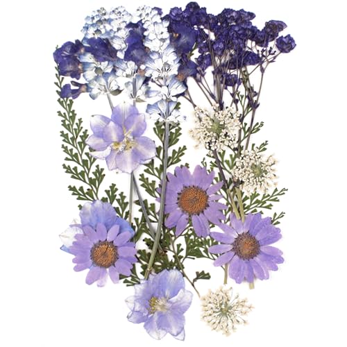 18 Stück Natürliche Getrocknete Blumen Trockenblumen zum Basteln Deko Gepresste Gemischte Blätter Gänseblümchen für Kunst DIY Harz Scrapbooking Karten Zubehör Handgemachte Heimdekoration Hochzeit 18 Stück Natürliche Getrocknete Blumen Trockenblumen zum Basteln Deko Gepresste Gemischte Blätter Gänseblümchen für Kunst DIY Harz Scrapbooking Karten Zubehör Handgemachte Heimdekoration Hochzeit von CUIDAKJ
