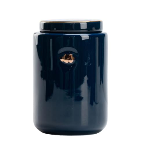 Teebox Aufbewahrungsbox für losen Tee Aufbewahrung kleiner tragbarer Keramikversiegelter Behälter Kleine Dose für Reisen nach Hause Kleines Tee-Lager Tee-Behälter (B) von CUISGOR