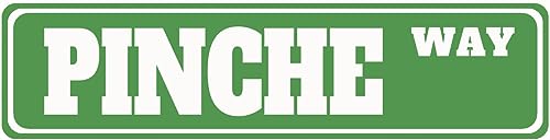 CUIYMXSC Pinche Way Blechschild, Straßenschild, Wanddekoration, Retro-Blechschilder, mexikanische Rd Ave, 40,6 x 10,2 cm, dekorative Schilder und Tafeln von CUIYMXSC