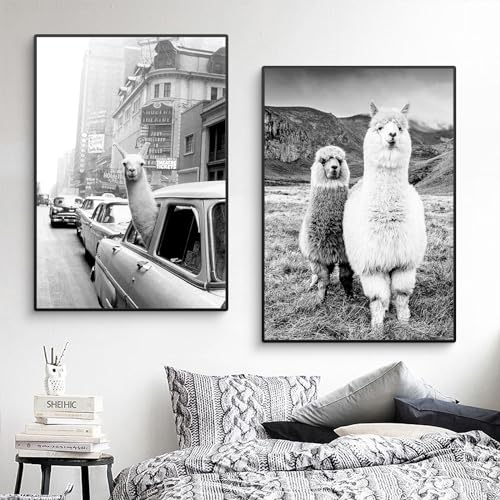 CULASIGN 2 Stück Premium Poster Set Ohne Rahmen, Schwarz Und Weiß Alpaka, Moderne Wandkunst Tier Bilder, Wandbilder Deko für Wohnzimmer Büro Flur Eingang (40x50cm) von CULASIGN