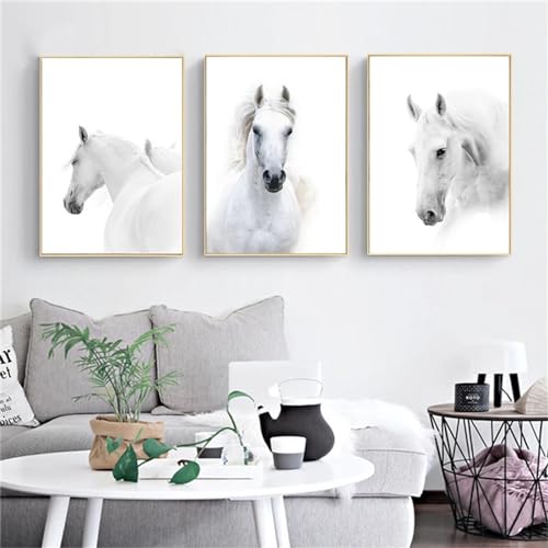 CULASIGN 3er Poster Set Poster Weißes Pferd, Design Pferde Poster Bilder Deko Schlafzimmer Stilvolle Wandbilder - ohne Bilderrahmen (50x70cm) von CULASIGN